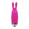 A pink bunny-shaped Adrien Lastic toy on a white background.