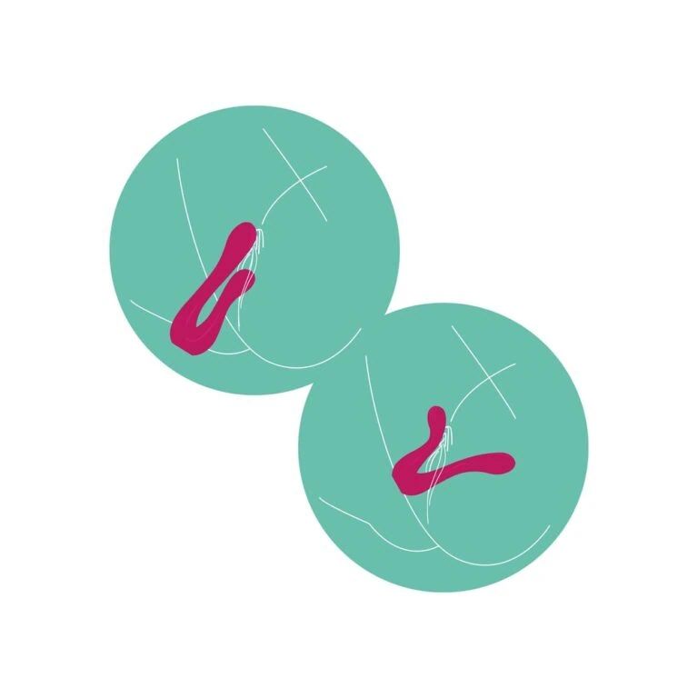 High-quality adult toys and sexual wellness products from Sextech UK, designed to enhance intimacy and pleasure with cutting-edge technology and discreet delivery.