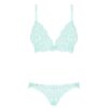 An image of a mint lace bra and panties.