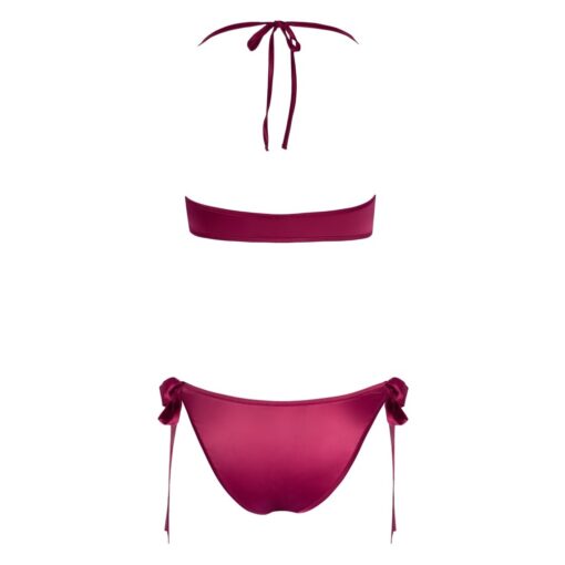 The back view of a burgundy bikini set.