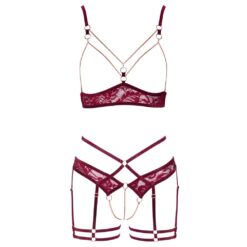 Abierta Fina Open Red Lace Set - Image 4