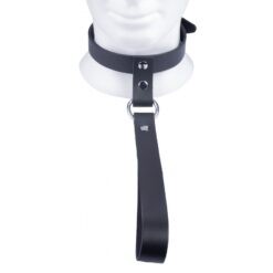 Alternative view of The Red Leather Collar with Short Leash