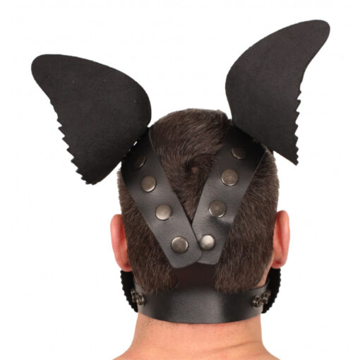 The back of a man wearing a black leather mask with wings.