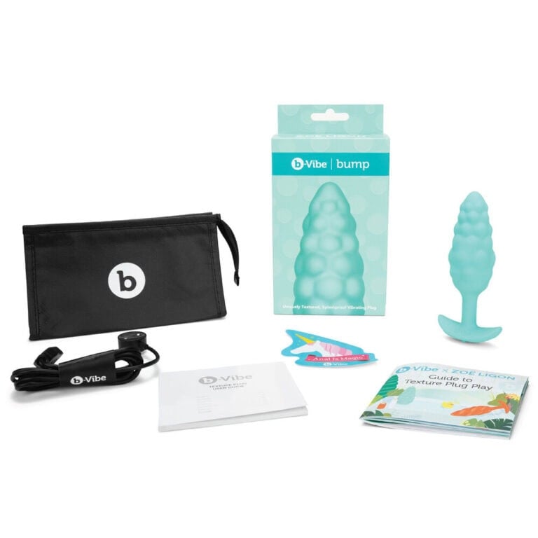 Discreet travel kit for the Vibe Bump anal stimulator, including a storage pouch, USB charging cable, user manual, and guide for safe and pleasurable anal play. Compact and easy to carry.