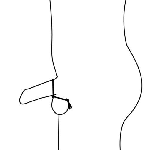 A black and white drawing of a man's genitals.
