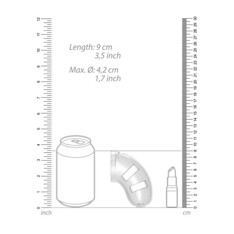 Man Cage 10 Male 3.5 Inch Clear Chastity Cage With Anal Plug Male Chastity Acrylic plastic detail