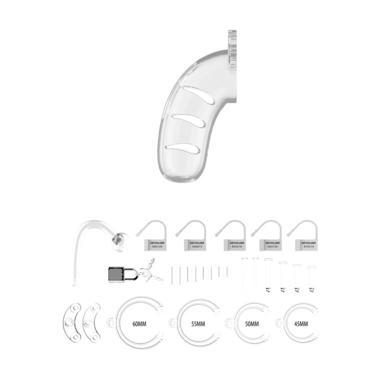 Hearing aid device with various ear tips, domes, and accessories for customised fit and enhanced hearing experience. Includes different sizes (60mm, 55mm, 50mm, 45mm) for optimal comfort and performan.