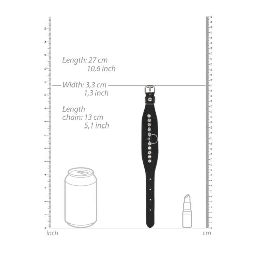 A diagram showing the dimensions of a watch and a can.