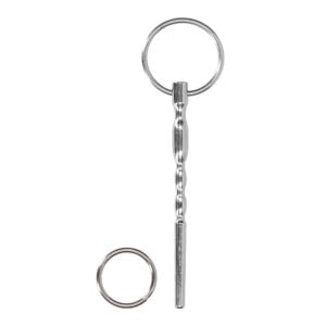 A silver key chain with a ring on it.