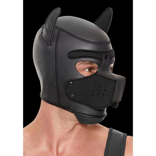 A man wearing a black dog mask.