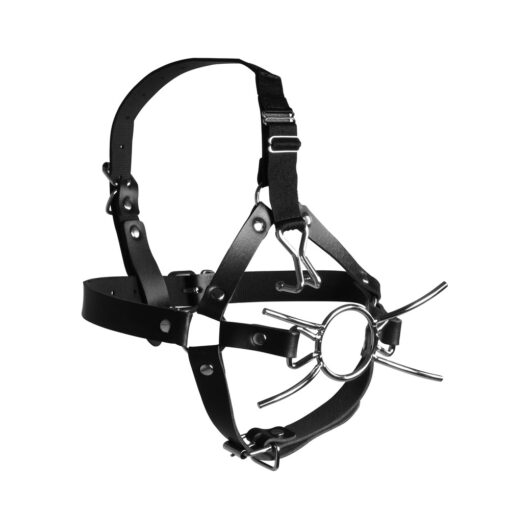 A black leather harness with a metal ring on it.