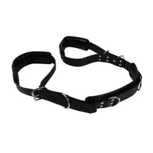 A black leather harness with two metal buckles.
