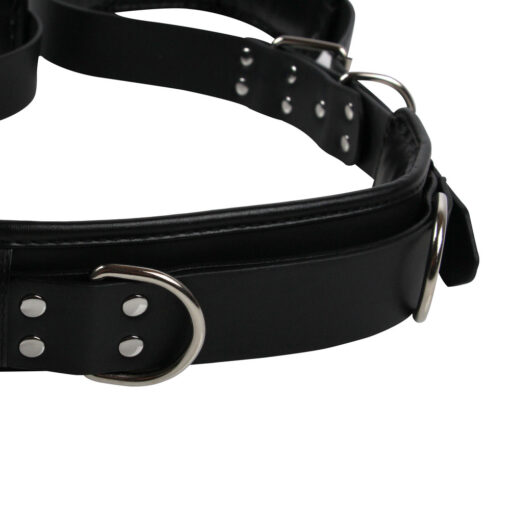 A black leather harness with metal buckles.