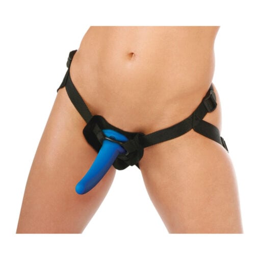 A woman wearing a harness with a blue toy.