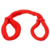 A pair of red ropes on a white background.