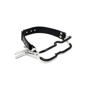 A black leather collar with two metal hooks.