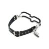 A black leather collar with a metal hook on it.