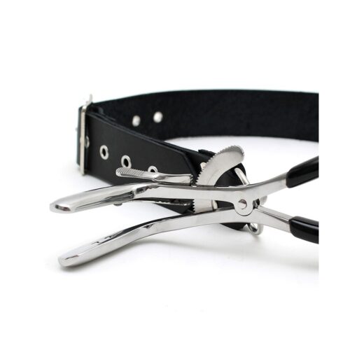 A pair of pliers with a black leather belt.