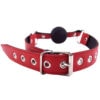 A red leather collar with a metal buckle.