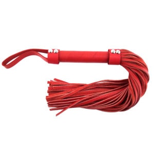 A red leather whip with a metal handle.