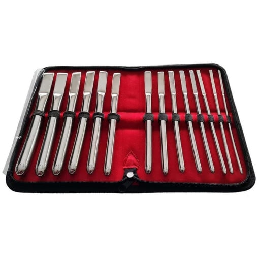 A set of stainless steel utensils in a case.