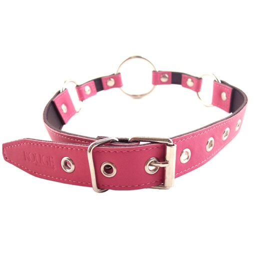 A pink leather collar with metal buckles.