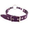 A purple leather collar with metal buckles.