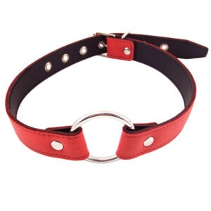 A red leather collar with a metal ring on it.