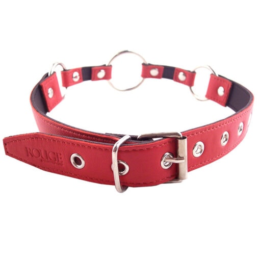 A red leather collar with metal buckles.