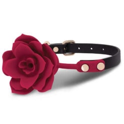 A dog collar with a red flower on it.