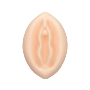 A plastic model of a woman's genitals on a white background.