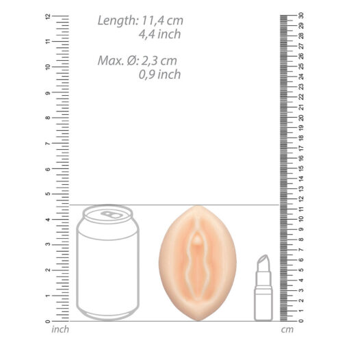 A diagram showing the size of a woman's genitals.