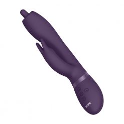 Vive Nilo Purple Pinpoint Rotating G Spot Rabbit - Product packaging and branding