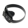 A black leather collar with a metal buckle.