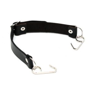 A black leather collar with two metal hooks.
