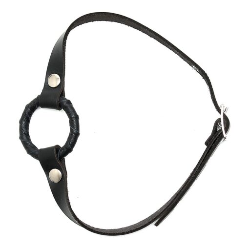 A black leather collar with a metal buckle.