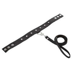 SportSheets Leather Leash And Collar - Image 2